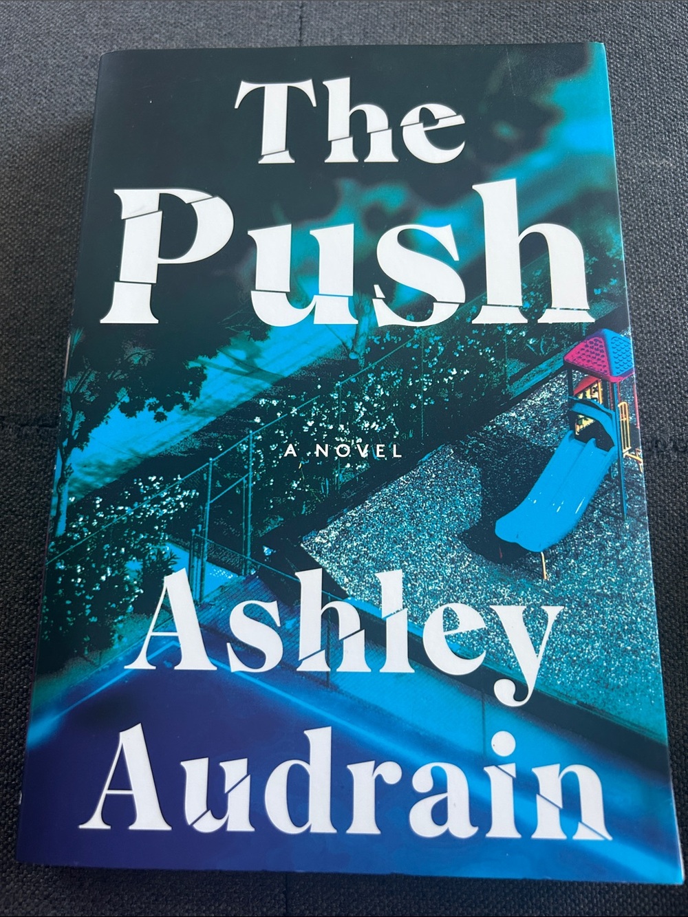 The push (thriller book)